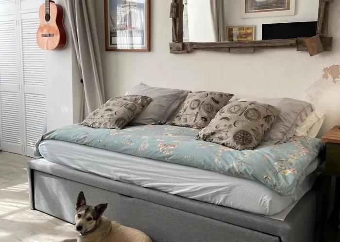 Penthouse Nido City Center Grupo Ac Gestion Appartement *